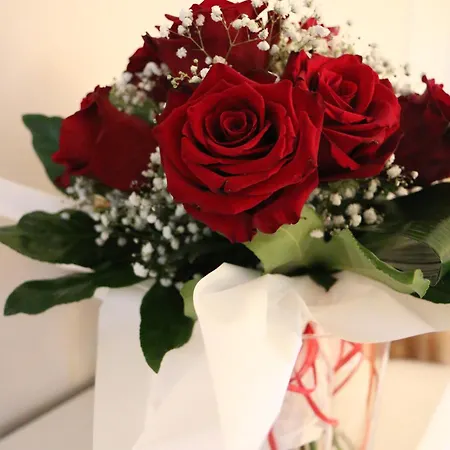 Casa Monia Apartmán